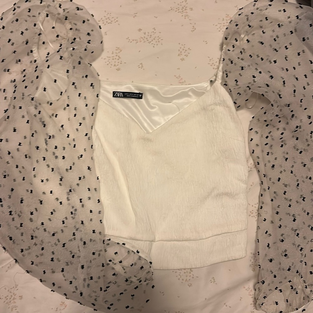 Zara organza sleeve top